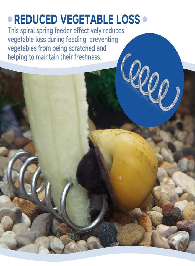 MUGLFPT (4Pack) Fish Tank Aquarium Vegetable Feeder Spring - Stainless Steel Bottom-Sinking Feeder - Suitable for Pleco, Malawi Cichlid, Pufferfish, Clown Loaches, Snails and Other Bottom-Feeding Fish - Image 4